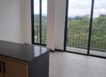 aoto zona 16 -1